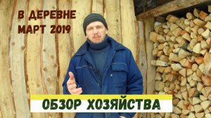 ОБЗОР ХОЗЯЙСТВА в Деревне: Куры несушки, индюки, перепела и другое МАРТ 2019