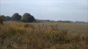 Legnica - byłe radzieckie lotnisko - 2014 rok.Легница - что осталось из аэродрома - 2014 год
