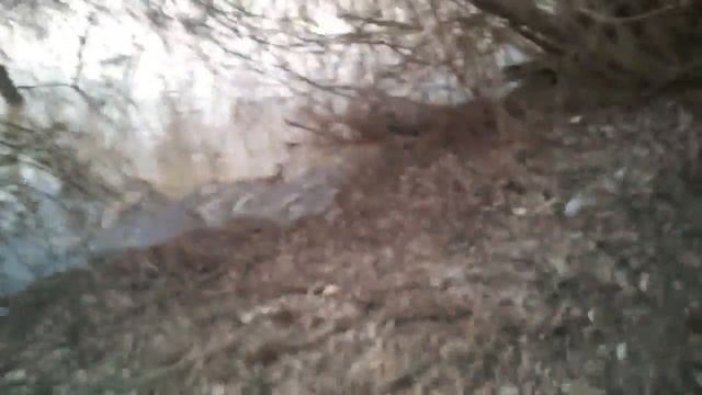 Пролесок - серия 1: Ничего необычного. смотреть онлайн