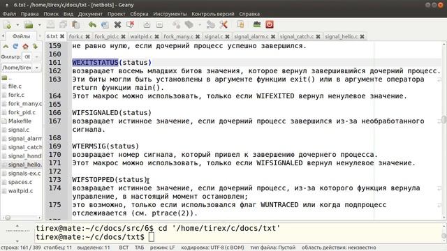 Programming C/Linux (Сигналы и процессы в C/Linux. Многопроцессное программирование.)