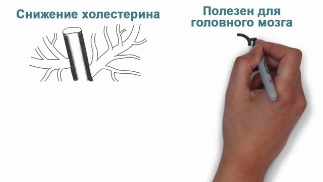 Жир нерпы тихоокеанской - источник Омега -3, витаминов, сквалена. смотреть онлайн