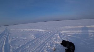 В этом озере что не опусти в лунку, сразу удар.