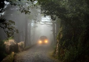 Таинственное исчезновение автобуса.