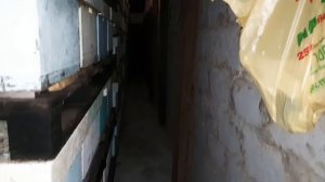 Пасека Матюшкиных. Зимовник на 800-900 семей.