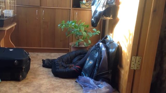 Поддув для горна