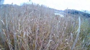 ОСЕНЬ 2017 Ловим рыбу с резинового тазика Иволга 2