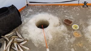 ЗИМНЯЯ РЫБАЛКА. МАЛОРОТКА. САХАЛИН.