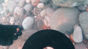 Золото чёрного моря 2020. Found underwater gold.