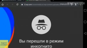 Режим инкогнито в браузере: что это такое, зачем нужно, как включить и пользоваться