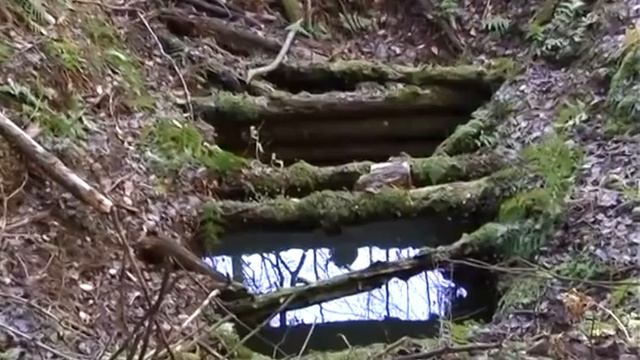 Горно-индустриальное наследие Карелии - 2012 смотреть онлайн