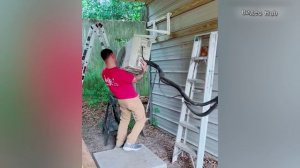 Смешные видео