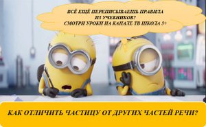 ОТЛИЧИЕ ЧАСТИЦЫ ОТ СОЮЗА И НАРЕЧИЯ. ОМОНИМИЯ ЧАСТЕЙ РЕЧИ