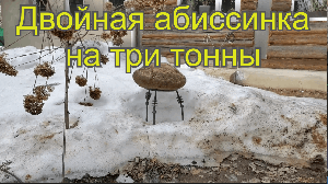 Увеличили дебет из абиссинской скважины в два раза! Таким образом углубили колодец на плывуне!