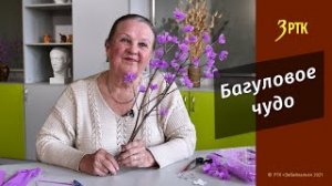 Позабытые ремёсла «Багуловое чудо»