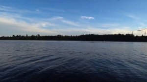 Ловля ХИЩНИКА на Фидер! Думал ОТГРЫЗЁТ!!! Протащил МАЛЬКА по ДНУ! Рыбалка на живца (малька)