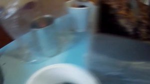 Комнатные растения. Бегония Pearle de Paris.