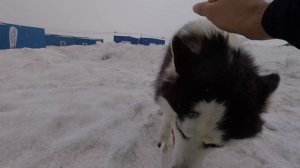 В одиночку на Эльбрус