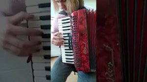 Рокн ролл на аккордеоне...!!)))