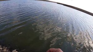 Рыбалка в Актобе. Завершение рыбалки по открытой воде