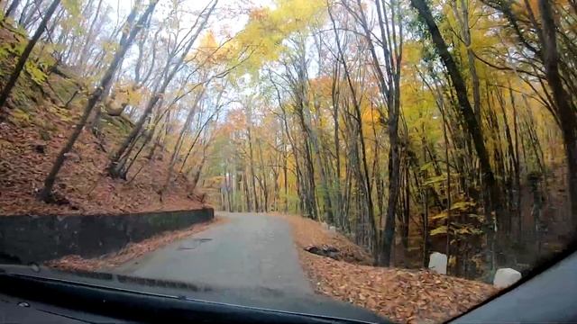 #242 Волшебный осенний крымский лес по дороге от Ай-Петри к Бахчисараю. Село Танковое. Осенний Крым