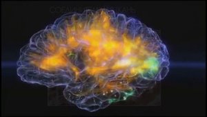 Ткани организма человека Лекции для младшего мед персонала и школьников. #леканатомия #биологияегэ