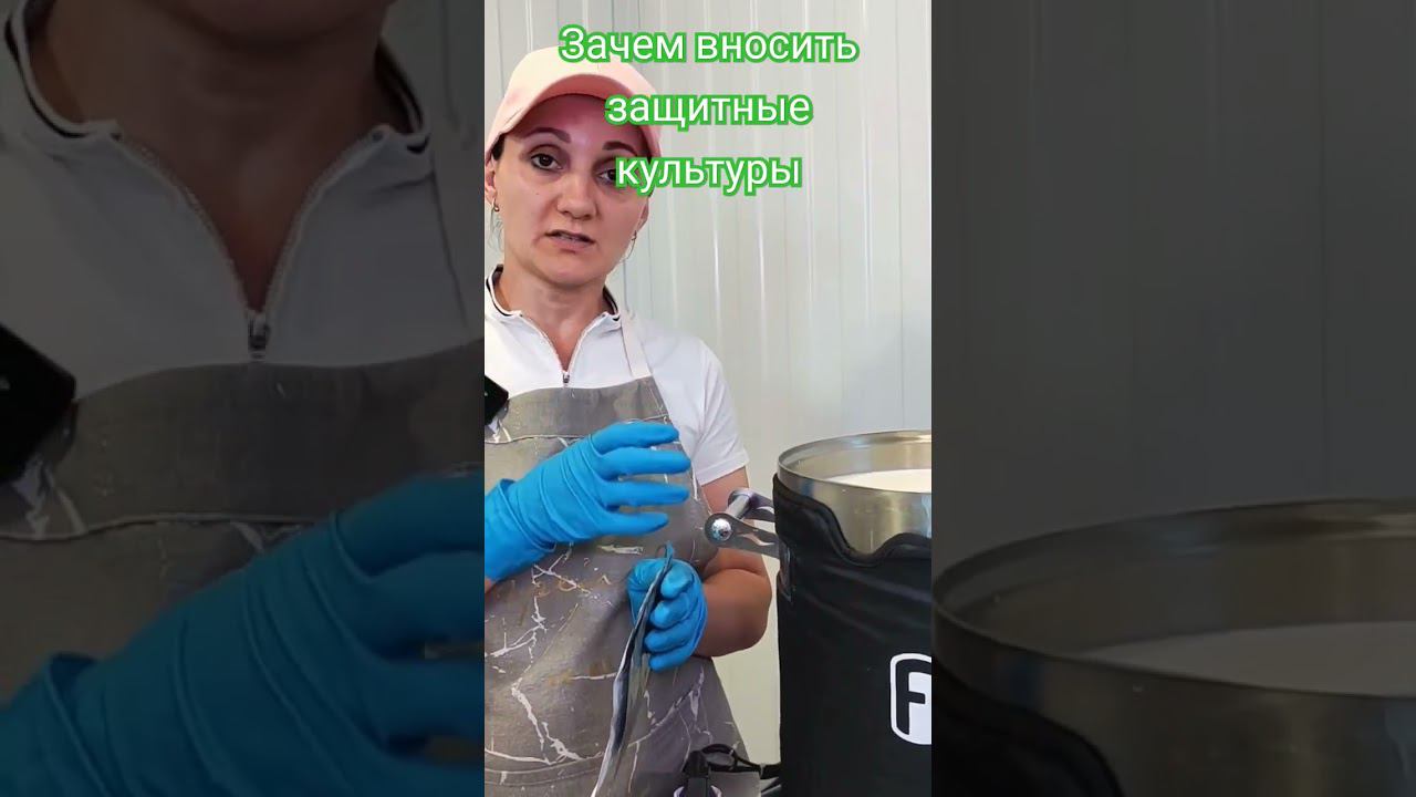 Зачем вносить защитные культуры / Заказывайте гастрономический сырный набор от "Сыроварня Елисеевых"