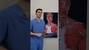 СИНДРОМ ЛЕСТНИЧНОЙ МЫШЦЫ. Причина боли в шее и онемения рук
