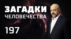 День китобоя. Законы мусорного города. Видео для взрослых. Выпуск 197 (24.09.18).