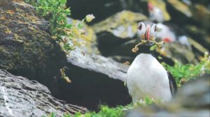 Gary Arndt, Skellig Michael, Fondest memory of visiting Ireland - TBEX