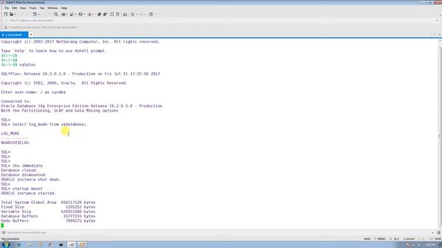 How to enable archivelog mode in Oracle database 10g смотреть онлайн