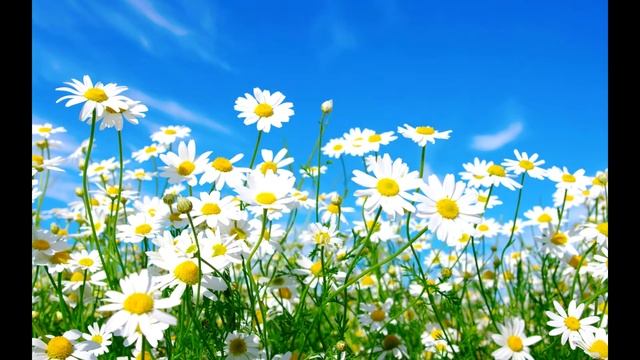 С днём семьи,любви и верности ,4-а! смотреть онлайн