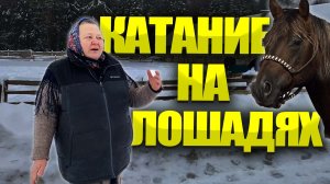 Как отдохнуть от города? Конные прогулки.