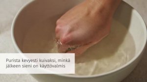 Konjac sieni kasvojenpuhdistukseen