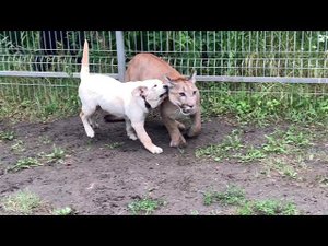 Снова в школе! Месси вернулся к тренировкам!