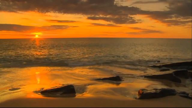 Scarlatti Sonata In F Minor Скарлатти Соната фа минор