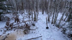 ДОБРАЛСЯ ДО ИЗБЫ | ПУРГА, МЕТЕЛЬ  | ГОТОВЛЮСЬ ЗИМОВАТЬ.