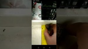 Новый взгляд на калибровку улитки  | Maxima | Muller | Бизнес в селе | Разведение улиток | Ферма |