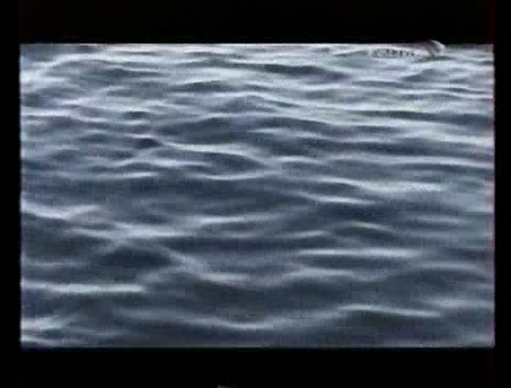 В реальном времени (2002)