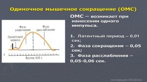 Виды мышечного сокращения