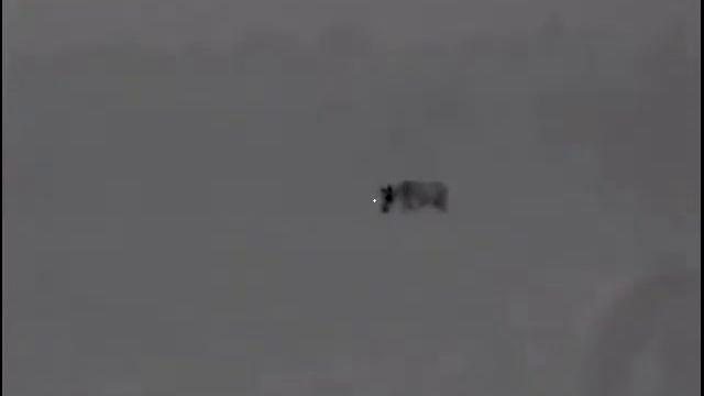 Охота с Pulsar Trail XP50 Лось смотреть онлайн