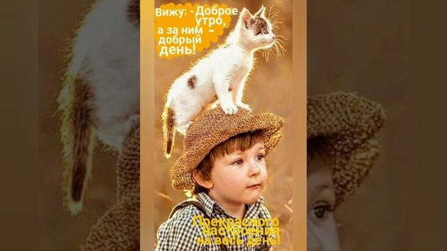 ДОБРОГО УТРА!🌼ХОРОШЕГО НАСТРОЕНИЯ!#поздравления