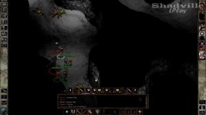 Icewind Dale Прохождение #2: В поисках каравана