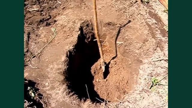 Выбираем место для строительства бани. Фундамент под баню. Как правильно построить баню смотреть онлайн