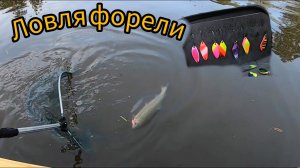 Ловля форели на спиннинг! Рыбалка в Голицыно Fish.