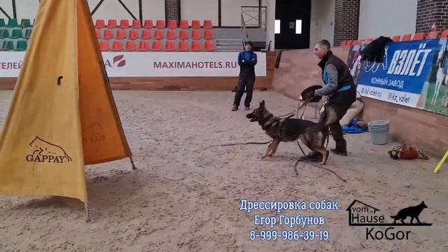 Диверсия Вом Хаус КоГор смотреть онлайн