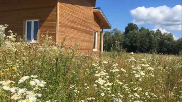 Царские берега лето 2017 смотреть онлайн