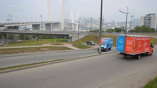 ООО "ЧТО-КУДА" г. Владивосток смотреть онлайн