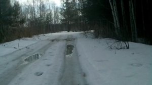 Снежно-водная дорога в лесу
