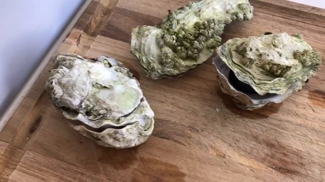 Как правильно есть устрицы. Oyster Hotdog, Oyster Recipe For BBQ. Устричный хотдог с беконом.