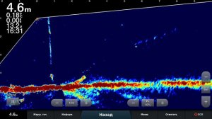 20210102 223823  LiveScope      ......неважно Лайвскоп или Таргет......